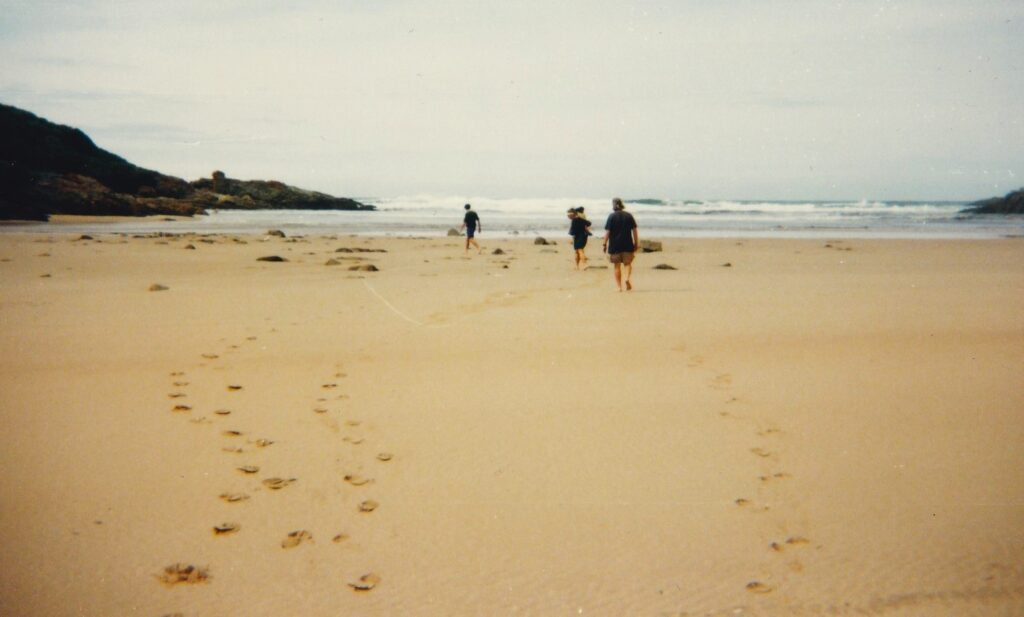 #25. Tsitsikamma National Park, South Africa (1995).