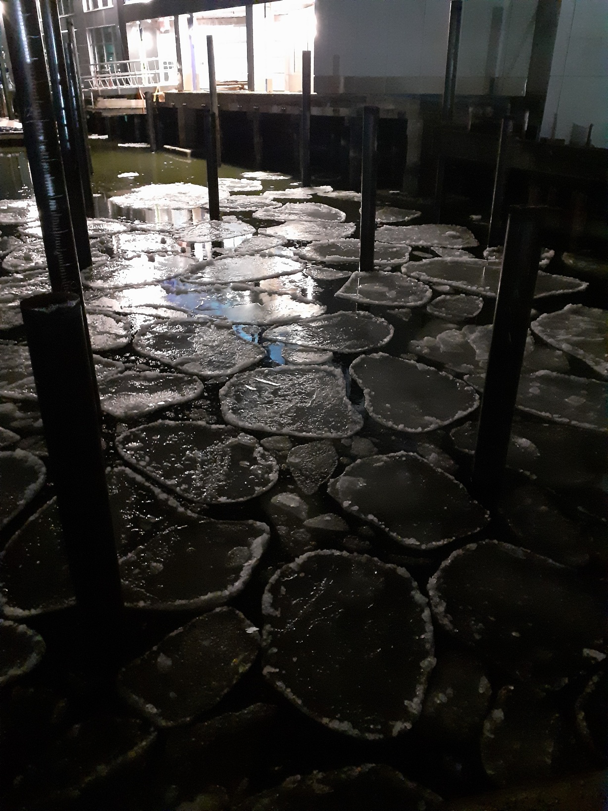 Ice Circles in the Hudson River