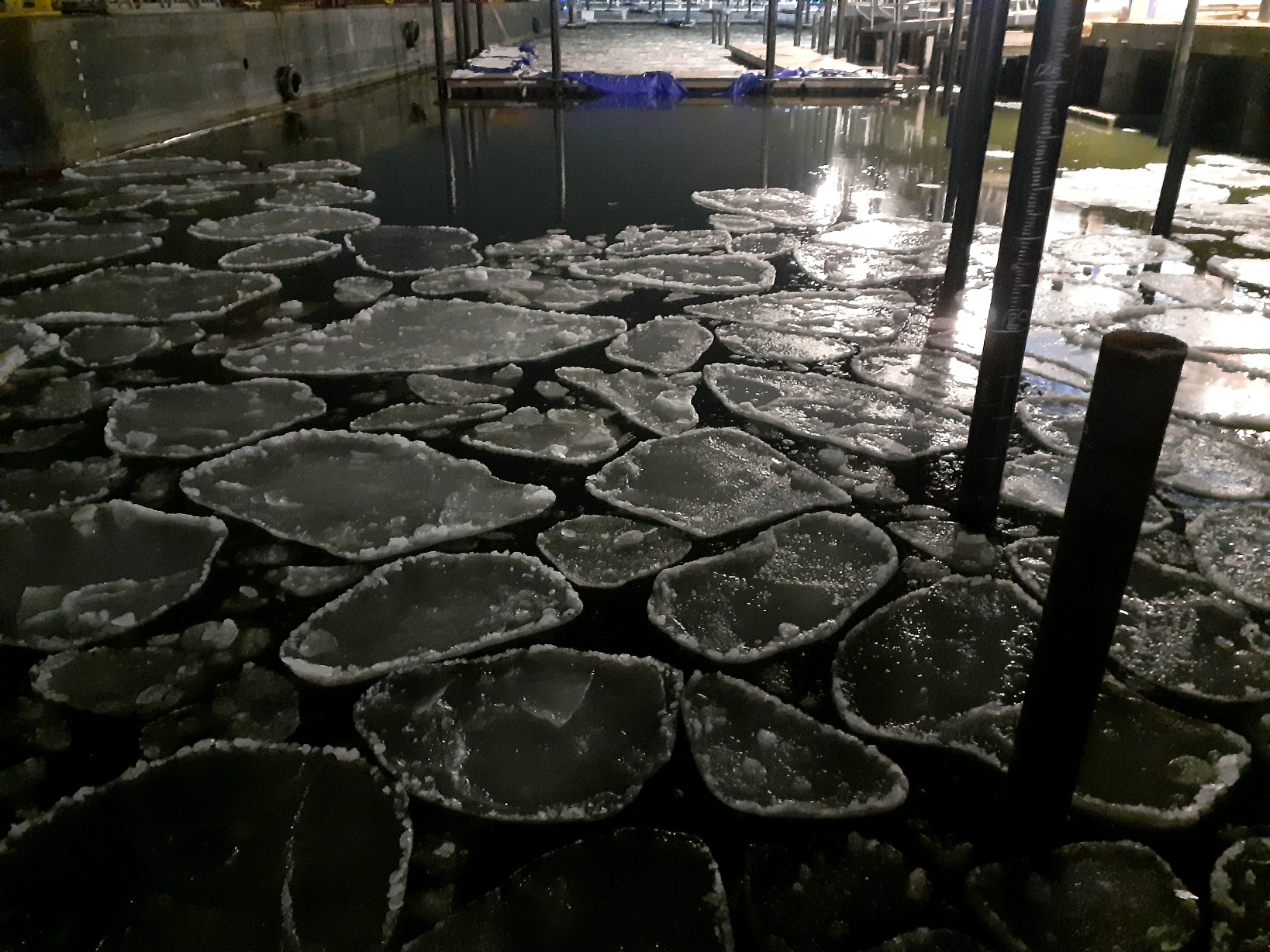 Ice Circles in the Hudson River